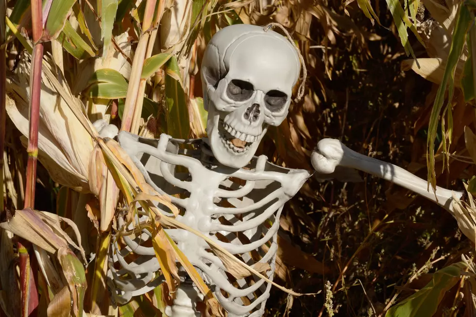 Oklahoma’s First Annual “Boohaha” Halloween Festival
