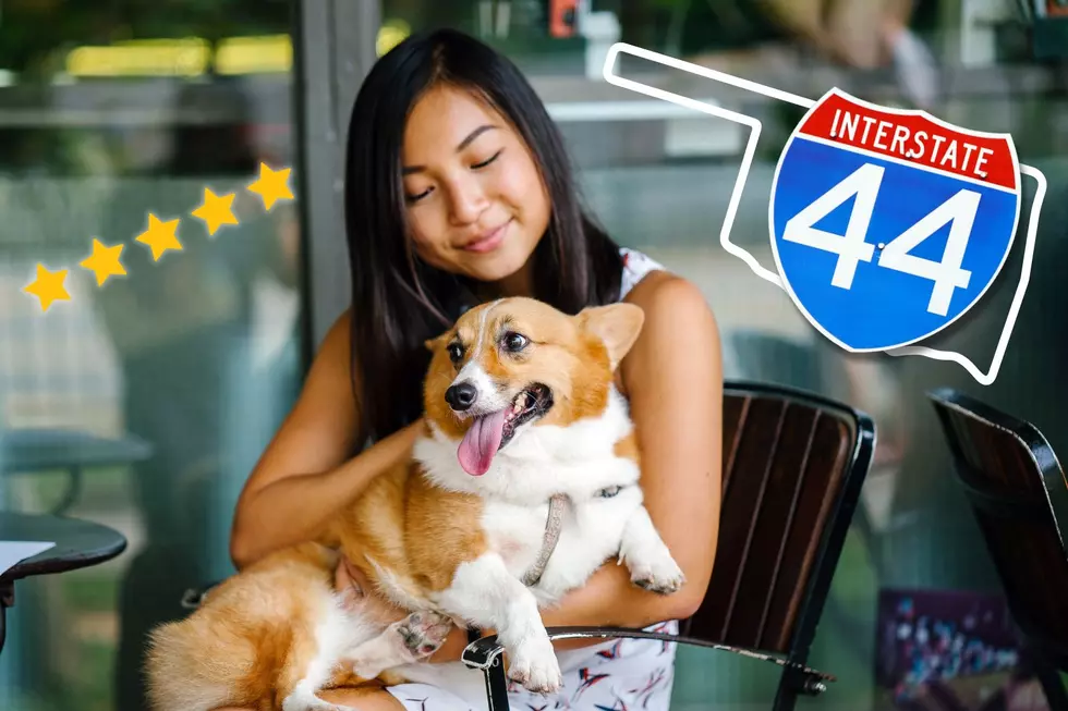 Complete List of Oklahoma’s Dog Friendly Restaurants Along I-44