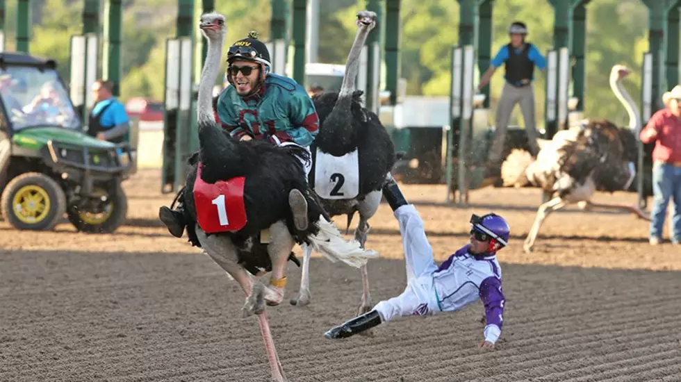 Famous Extreme Races Coming Back To Oklahoma’s Remington Park