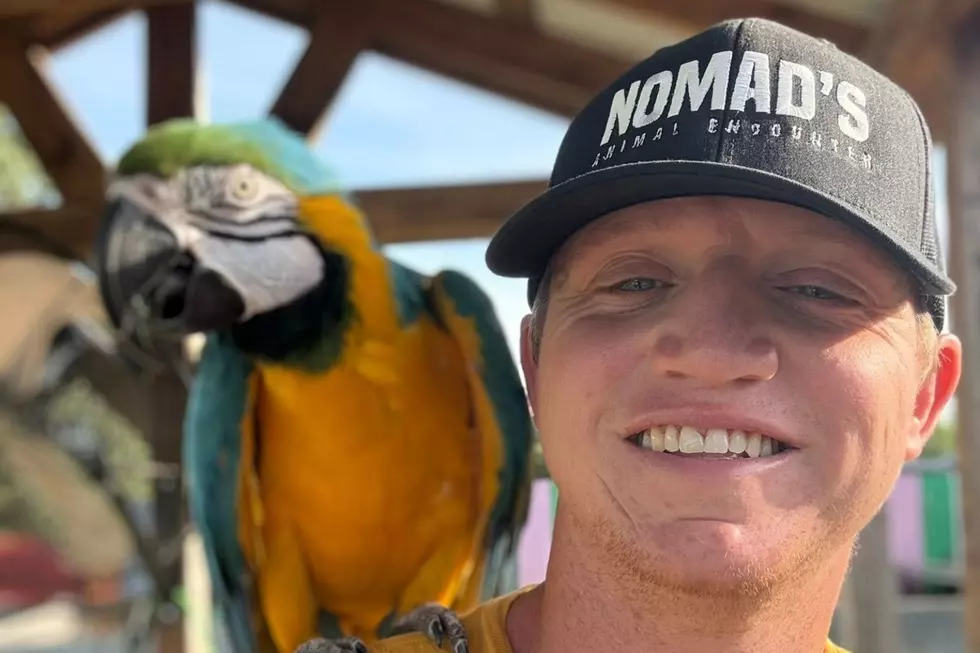 Reports Say Fire Sparked At Oklahoma’s Nomad’s Animal Encounter